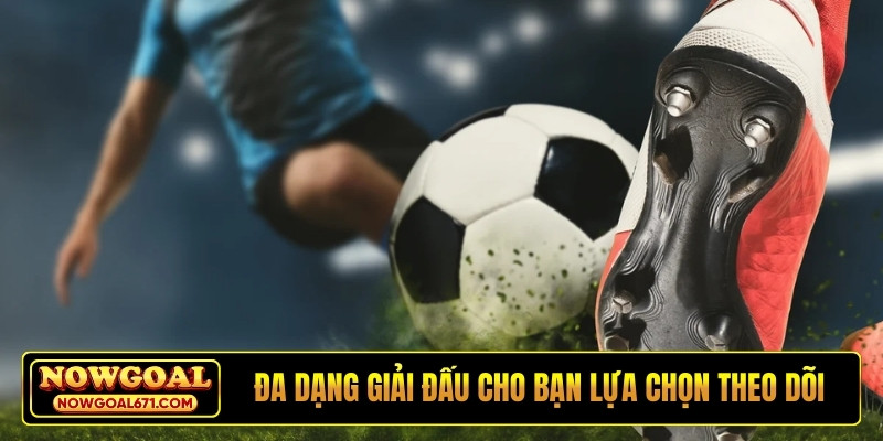 Đa dạng giải đấu cho bạn lựa chọn theo dõi