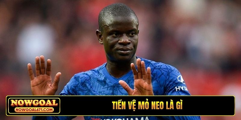 tiền vệ mỏ neo là gì